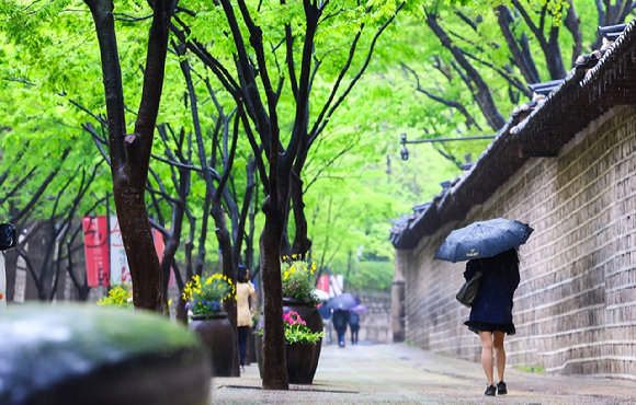 월요일인 22일은 전국이 대체로 흐린 가운데 곳곳에 비가 내리겠다. 비 내리는 지난 15일 서울 중구 정동길에서 시민들이 우산을 쓰고 출근하고 있다. [사진=뉴시스]