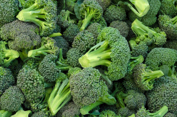 브로콜리가 장 건강과 혈당 조절, 세포 건강 유지에 도움이 될 수 있다는 영양 전문가의 설명이 나왔다. 사진은 AI 생성 이미지로, 본 기사 내용과 무관. [사진=챗GPT]