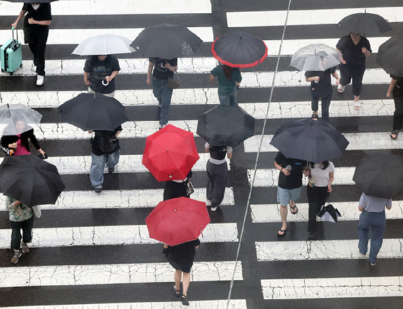 울산시 남구 한 거리에서 시민들이 우산을 쓰고 횡단보도를 건너고 있다. [사진=연합뉴스]