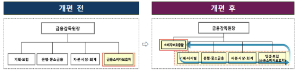[그림=금융감독원]