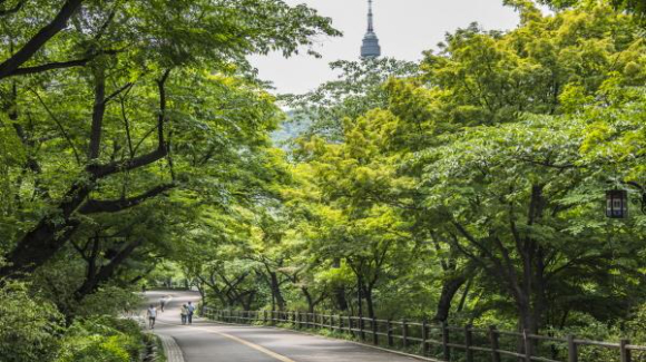 남산공원 도시숲 [사진=산림청 ]
