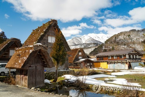 곰 이미지. 기사와 직접 관련이 없는 사진 [사진=픽셀스]
