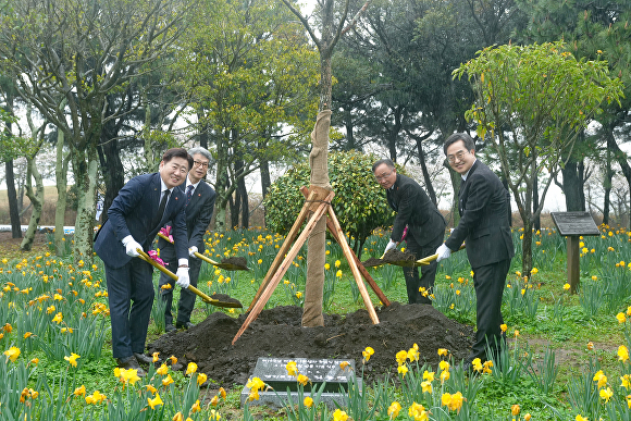 오영훈 제주도지사와 김동연 경기도지사 등 관계자들이 은행나무로 기념식수를 하고 있다. [사진=제주특별자치도 ]