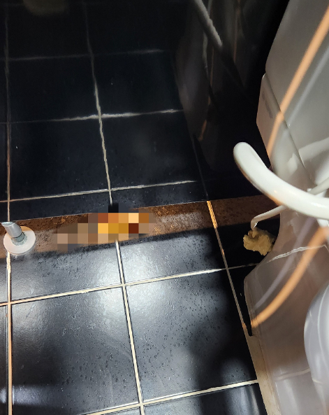 부산 서면에서 가게를 운영하는 업체 측이 화장실에서 소변을 곳곳에 흩뿌리고 대변 테러를 한 손님을 찾아 나섰다. [사진=온라인 커뮤니티 '아프니까 사장이다' 캡처]