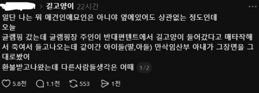한 글램핑장에서 길고양이를 폭행해 죽였다는 투숙객의 목격담이 올라왔다. [사진=스레드]