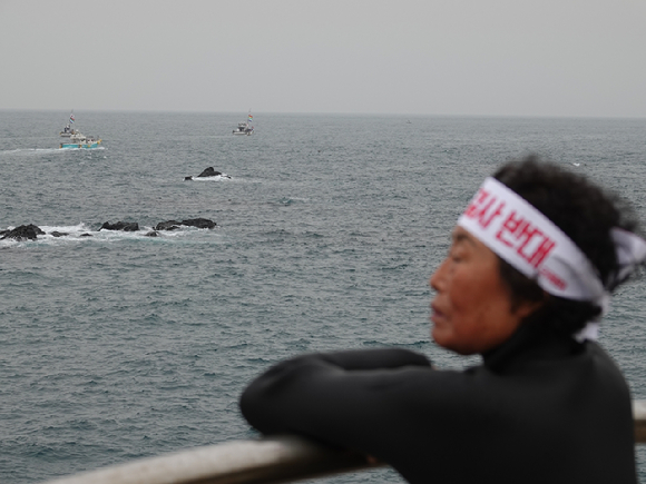 22일 오전 제주시 도두동 해상에서 해녀가 후쿠시마 원자력발전소 오염수 방류 중단을 촉구하는 해상시위를 보고 있다. [사진=뉴시스]