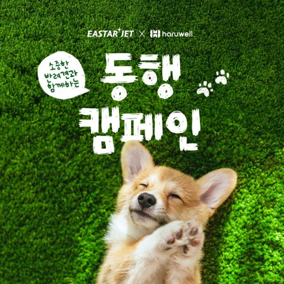 이스타항공 '반려견 동행 캠페인' 이미지. [사진=이스타항공]