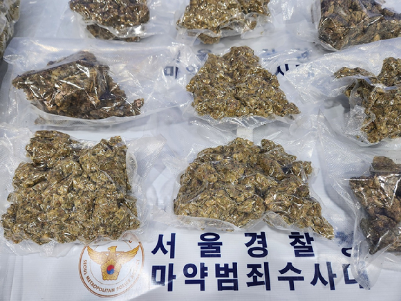 경찰이 압수한 대마. 서울경찰청 제공. [사진=연합뉴스]