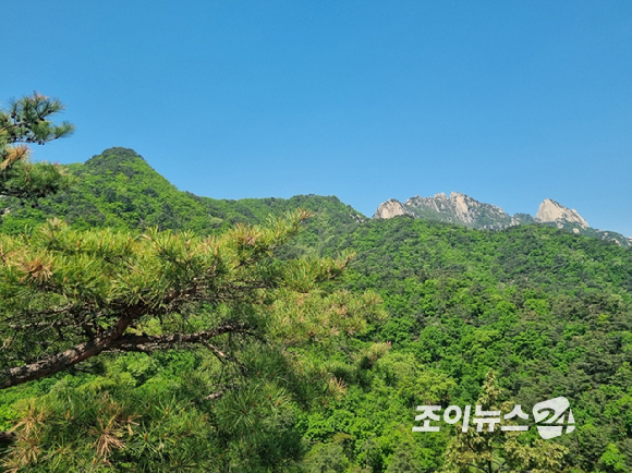 25일 '산악인 오은선대장과 함께하는 제13회 희망찾기 등산 &middot; 트레킹 교실'이 진행된 가운데 북한산 진달래능선에서 아름다운 경치가 포착됐다. [사진=이미영 기자]