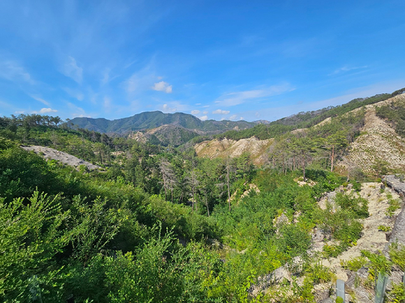 산불피해지 중 생태복원 중인 국립울진생태숲지정대상지 [사진=산림청]