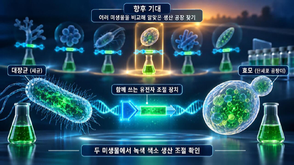 원하는 물질 만들 미생물 찾는 길 열어 外 [과학게시판]