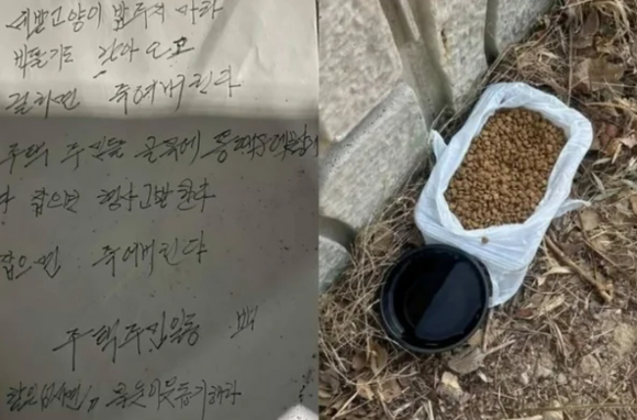 부산의 한 아파트 단지에서 길고양이에게 먹이를 주는 이른바 '캣맘'을 향한 과격한 경고문이 등장해 논란이 커지고 있다. 사진은 일반 고양이로, 본 기사 내용과 무관. [사진=Freepik]