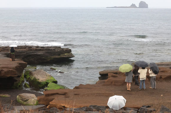 겨울비가 내리는 속 제주 서귀포시 안덕면 사계리 해안을 찾은 관광객이 우산을 들고 바닷가 정취를 즐기고 있다. [사진=연합뉴스]