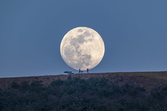 대상을 받은 '장미의 심장, 황금빛 물결의 파동(김슬우)'. [사진=천문연]
