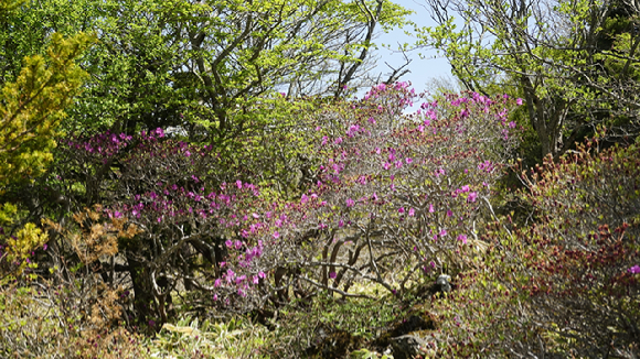 한라산에서 바라본 운해. [사진=박성기 작가]