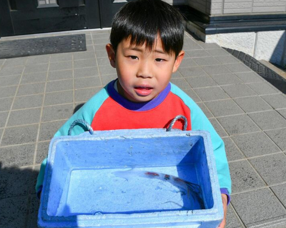일본 지바현 미나미보소시(南房総市) 도미우라 신항에서 심해에 서식하는 '유령오징어(ユウレイイカ)'가 살아 있는 상태로 발견돼 학계의 관심을 쏠리고 있다. 사진은 본 기사 내용과 무관. [사진=Hells Canyon Boat Tours]