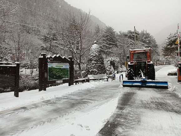 산림청은 해빙기 안전사고 예방을 위한 현장점검을 강화한다고 밝혔다. [사진=산림청]