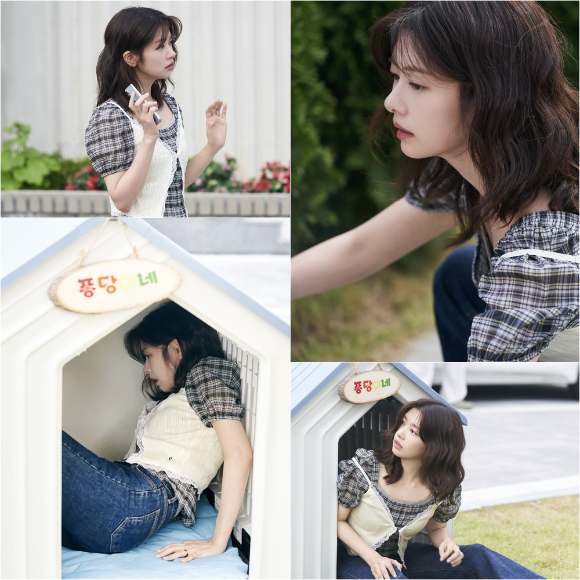 &apos;우주메리미&apos; 정소민, 최고급 신혼집 대신 펫하우스行 &apos;식은땀 뻘뻘&apos;