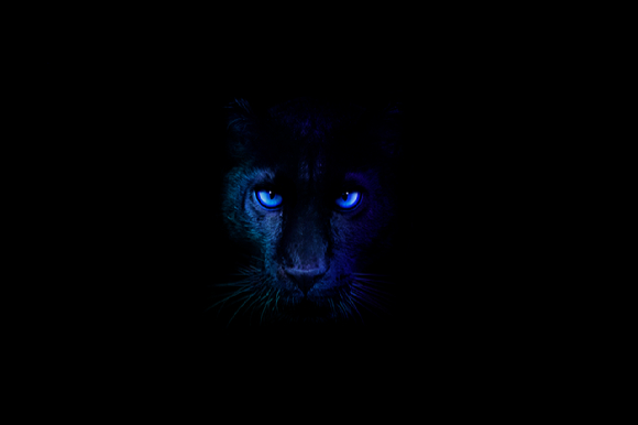 CES 2026 개막을 하루 앞둔 5일(현지시간) 리사수 AMD CEO의 기조연설이 진행될 베네시안 엑스포 팔라조 블룸. CES 로고가 막 설치된 모습. [사진=박지은 기자]