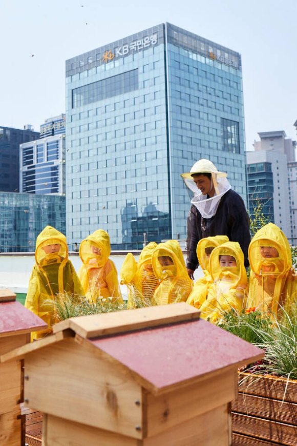 KB금융그룹 직원 가족들이 국민은행 본관 옥상에 설치된 K-Bee 도시 양봉장에서 벌 키우기 체험 활동을 하고 있다. [사진=KB금융그룹]