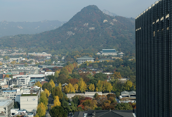 7일 정부서울청사에서 바라본 종로구 청와대 주변이 가을 단풍으로 물들어 있다. 2025.11.7 [공동취재] [사진=연합뉴스]