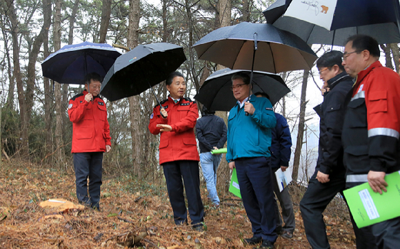 남상현 산림청장이 28일 전북 군산 소나무재선충병 방제현장 점검에 나섰다. [사진=산림청]
