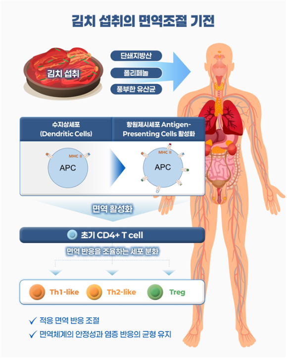 여주의 한 가정에서 김장을 하고 있다. [사진=정종오 기자]