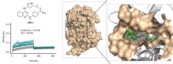 국내 연구팀이 난치성 삼중음성 유방암을 표적으로 하는 항암 신약 후보물질 &lsquo;MKI-3&rsquo;를 개발했다. [사진=한국원자력의학원]