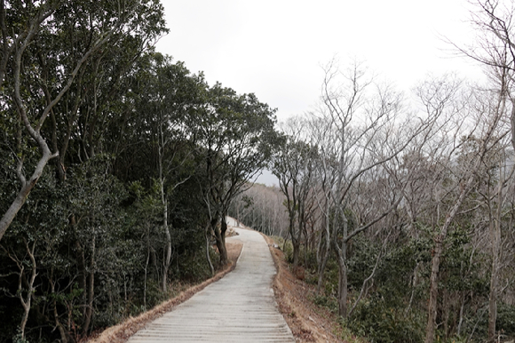 두륜산 너른 절마당과 두룬산. [사진=박성기]