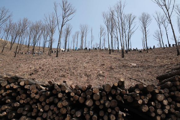 유한킴벌리가 28일 경북 안동 산불피해지에서 '우리강산 푸르게 푸르게 2026 신혼부부 나무심기'를 진행했다. 참가자들이 나무심기에 열중하고 있다. [사진=유한킴벌리]