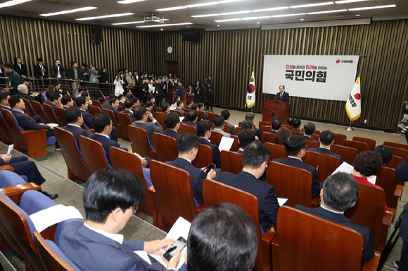 추경호 국민의힘 원내대표가 14일 오후 서울 여의도 국회에서 열린 의원총회에서 발언을 하고 있다. 2024.11.14. [사진=뉴시스]