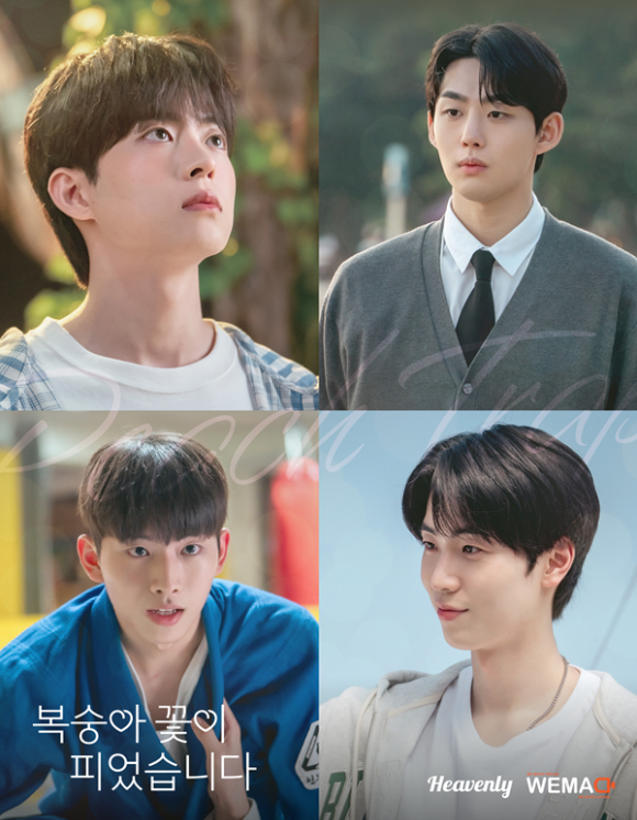 비주얼BL &apos;복숭아 꽃이 피었습니다&apos;, 오픈 동시에 뜨겁다⋯16일 팬시사회