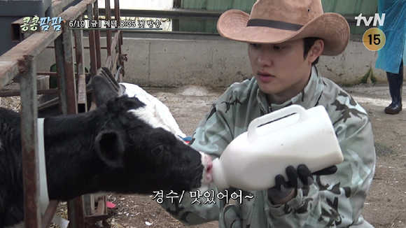 콩콩팜팜 [사진=tvN ]