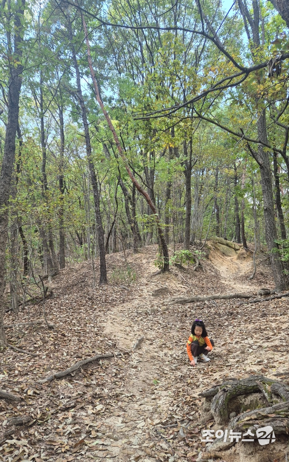 25일 오전 9시 북한산 국립공원 우이분소(백운천 휴게공간)에서 고품격 엔터테인먼트 경제지 조이뉴스24(대표 이창호)가 개최하는 '브브걸 민영과 함께 하는 팬트레킹-제12회 희망찾기 등산&middot;트레킹 교실'(이하 트레킹교실)'이 열렸다. 사진은 도토리 줍는 어린이 참가자. [사진=김양수 기자]