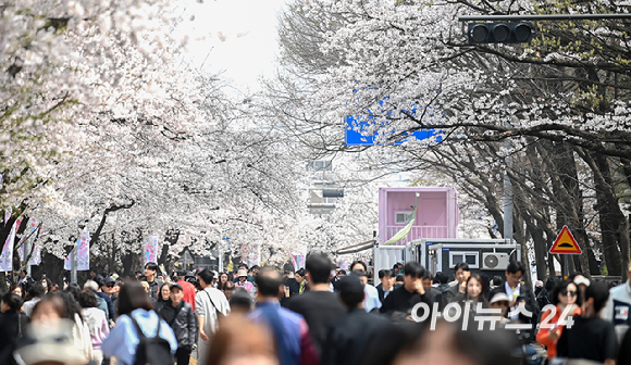 3일 오전 서울 여의도 윤중로 벚꽃길에서 시민들이 꽃놀이를 즐기고 있다. 윤중로 벚꽃길은 8일까지 여의도 봄꽃축제를 위해 교통이 전면통제된다. [사진=곽영래 기자]