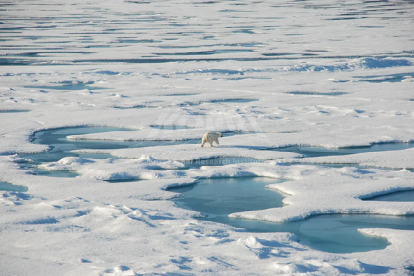남극의 빙붕. [사진=극지연구소]