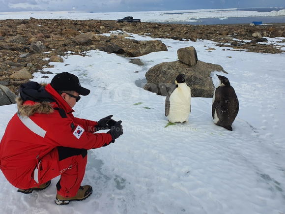 남극의 빙붕. [사진=극지연구소]