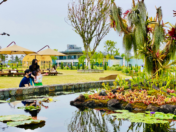 최대 규모의 식충식물 분경이 관람객의 시선을 사로잡고 있다.