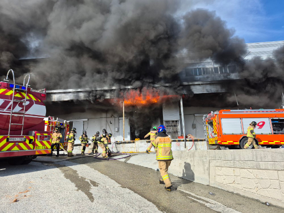 12일 오전 8시 25분께 전남 완도군 군외면 한 수산물 가공업체 냉동창고에서 난 불로 내부에 진입하던 소방관 2명이 숨졌다. 사진은 진화와 수색 작업 벌이는 소방 당국. 2026.4.12 [독자 제공. 재판매 및 DB 금지] [사진=연합뉴스]