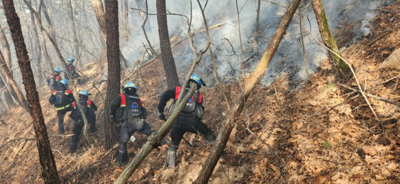 2일 오후 서울 종로구 인왕산에서 발생한 산불 화재 현장에서 산불재난특수진화대원들이 산불 진화 작업을 하고 있다. [사진=뉴시스]