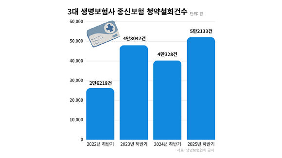  [그래프=홍지희 기자]