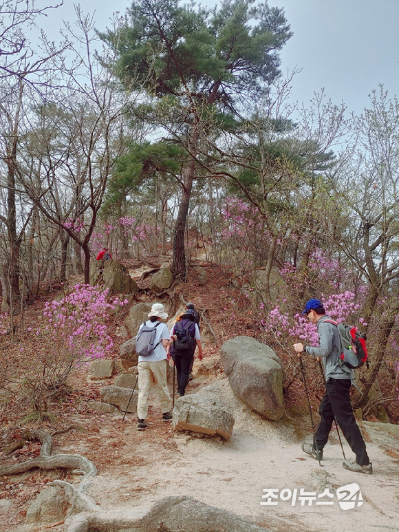 서울 북한산 진달래능선에서 등산객들이 산을 오르며 즐거워하고 있다. [사진=정소희 기자]