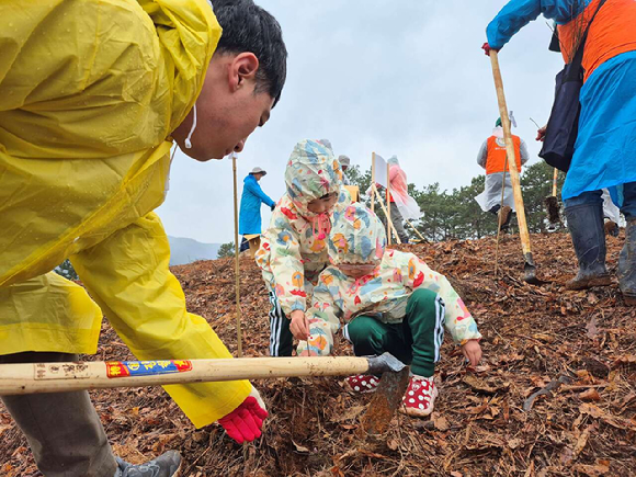 2025년 충청남도 공주시에서 열린 식목일 행사에서 참가자들이 나무를 심고 있다. [사진=산림청]