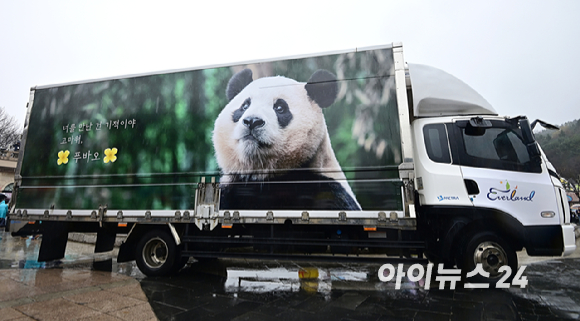 푸바오가 일반 관람객들을 만나는 마지막 날인 지난 2024년 3월 3일 오전 용인 에버랜드 판다월드 실내 방사장에서 푸바오가 대나무를 먹고 있다. [사진=사진공동취재단]