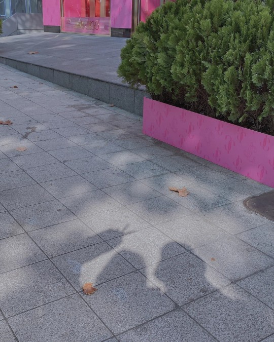 김희선 [사진=김희선 SNS]