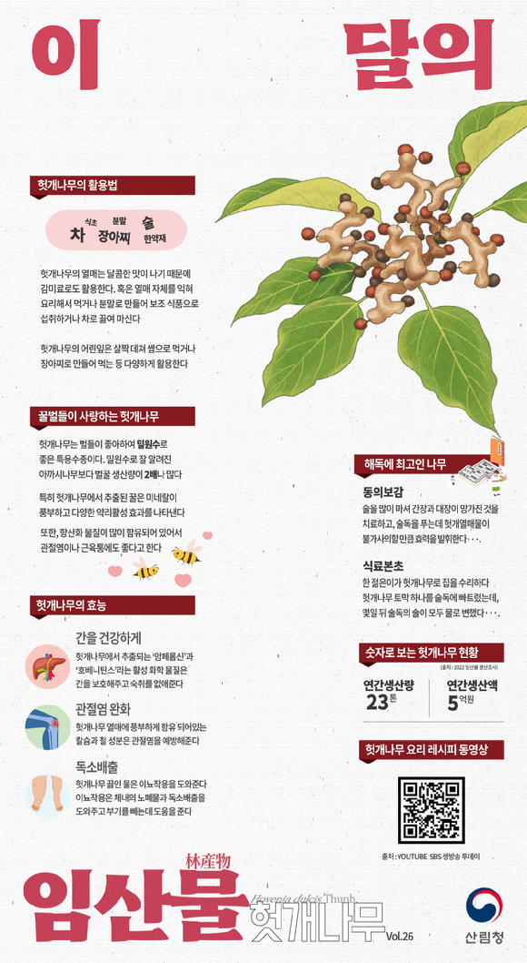 산림청은 8월 이달의 임산물로 간 해독에 탁월한 효능을 지닌 '헛개나무'를 선정했다고 9일 밝혔다. [사진=산림청]