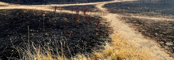 폭염과 폭풍, 폭우, 산불, 가뭄 등 올해 기후위기로 전 세계 수백만명이 &lsquo;적응의 한계선&rsquo;에 직면한 것으로 분석됐다. [사진=WWA]
