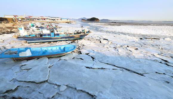 한파가 이어진 가운데 인천 중구 영종도 예단포항에 정박한 어선들이 얼음에 갇혀 있다. [사진=연합뉴스]
