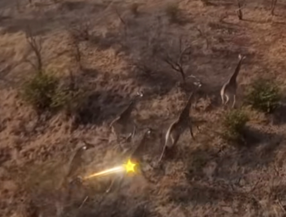 구독자 4억4800만 명을 보유한 세계 1위 유튜버 '미스터비스트(MrBeast)'가 헬리콥터를 타고 야생 기린을 향해 총을 쏘는 영상을 공개해 누리꾼들의 비판을 불러왔다. 사진은 미스터비스트. [사진=유튜브 @미스터비스트]