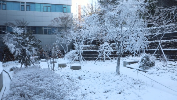 울산대학교병원이 환자와 내원객을 위해 인공 눈을 이용한 '눈꽃 정원'을 조성해 환자들에게 감동을 주고 있다. 사진은 '눈꽃 정원' 모습. [사진=울산대병원 제공]